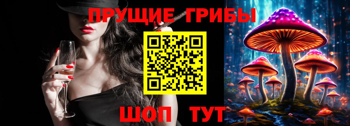 Галлюциногенные грибы Cubensis Искитим