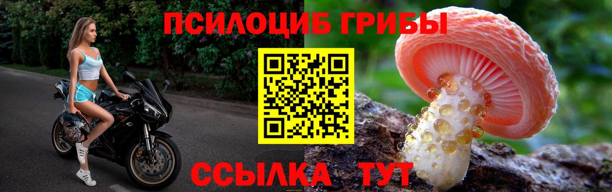 Псилоцибиновые грибы Psilocybe  Вход с VPN  где купить наркотик  Псилоцибиновые грибы Psilocybine cubensis  Искитим 